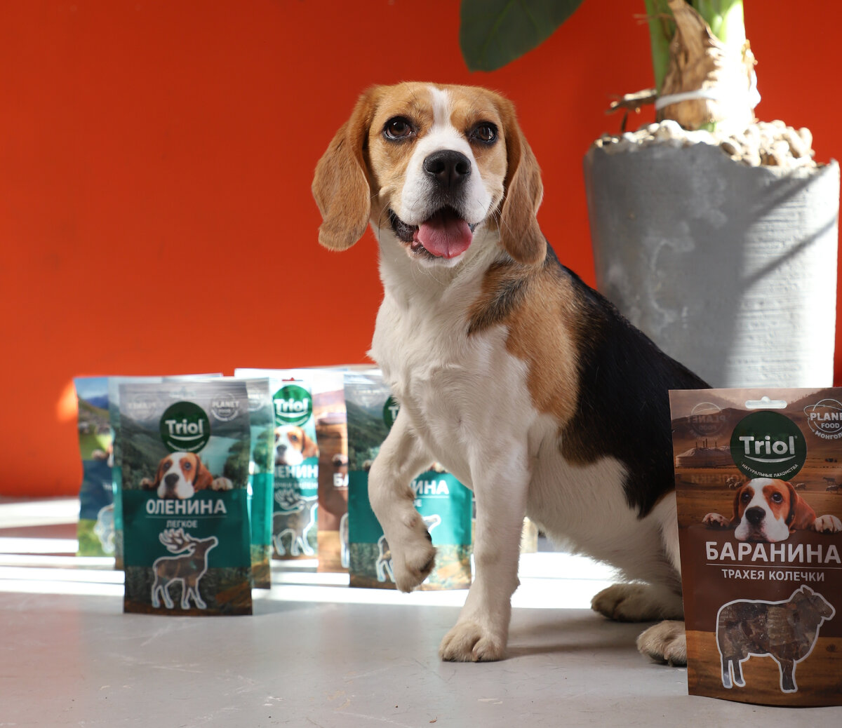 На фото — лакомства Triol PLANET FOOD из оленины, баранины, яка и конины.