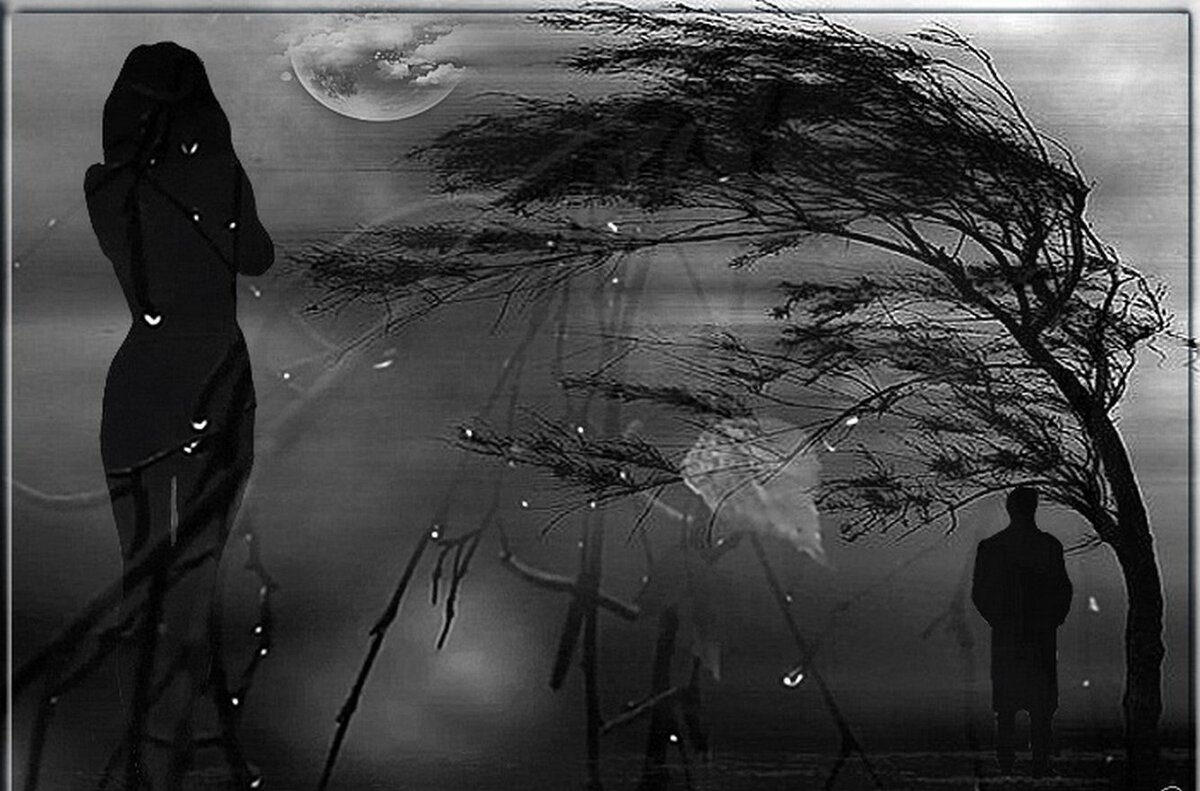 Фото Яндекс.Картинки 