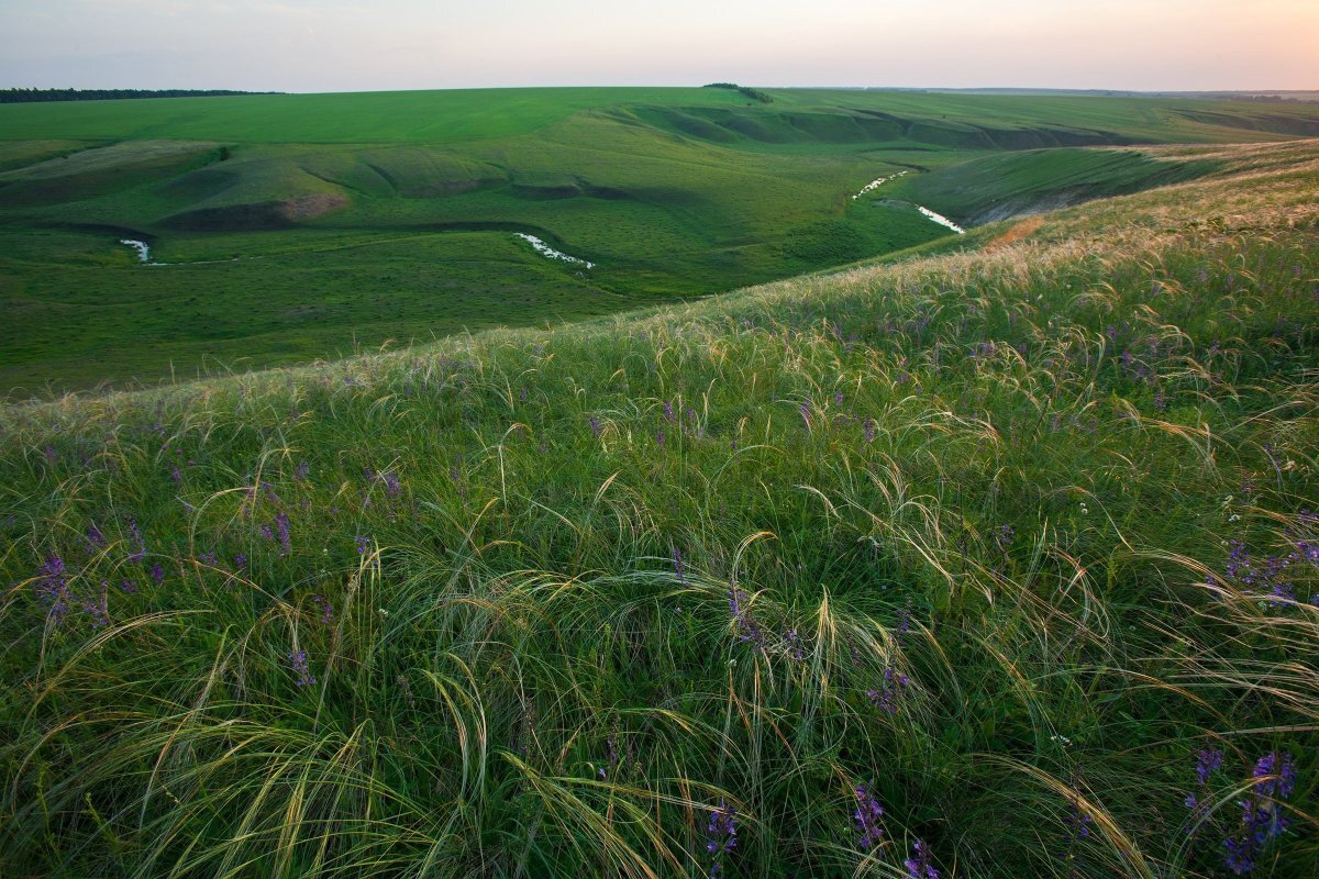    Музей-заповедник «Куликово поле» выпустил новый путеводитель