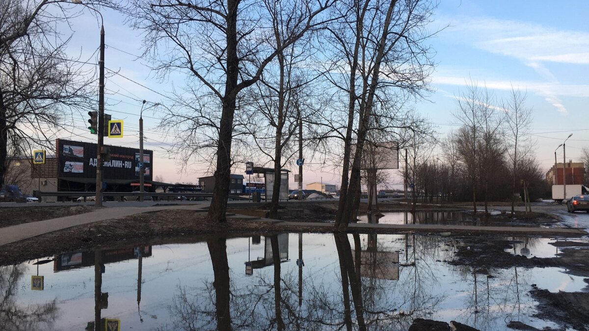     Нетипичная погода для данного времени года установилась в Приморье. Обычно в середине ноября в регион уже приходят мороз и снегопады, но в этом году на территории края до сих пор держится положительная температура и идут дожди.