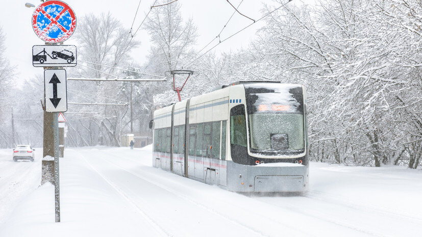   Gettyimages.ru scaliger