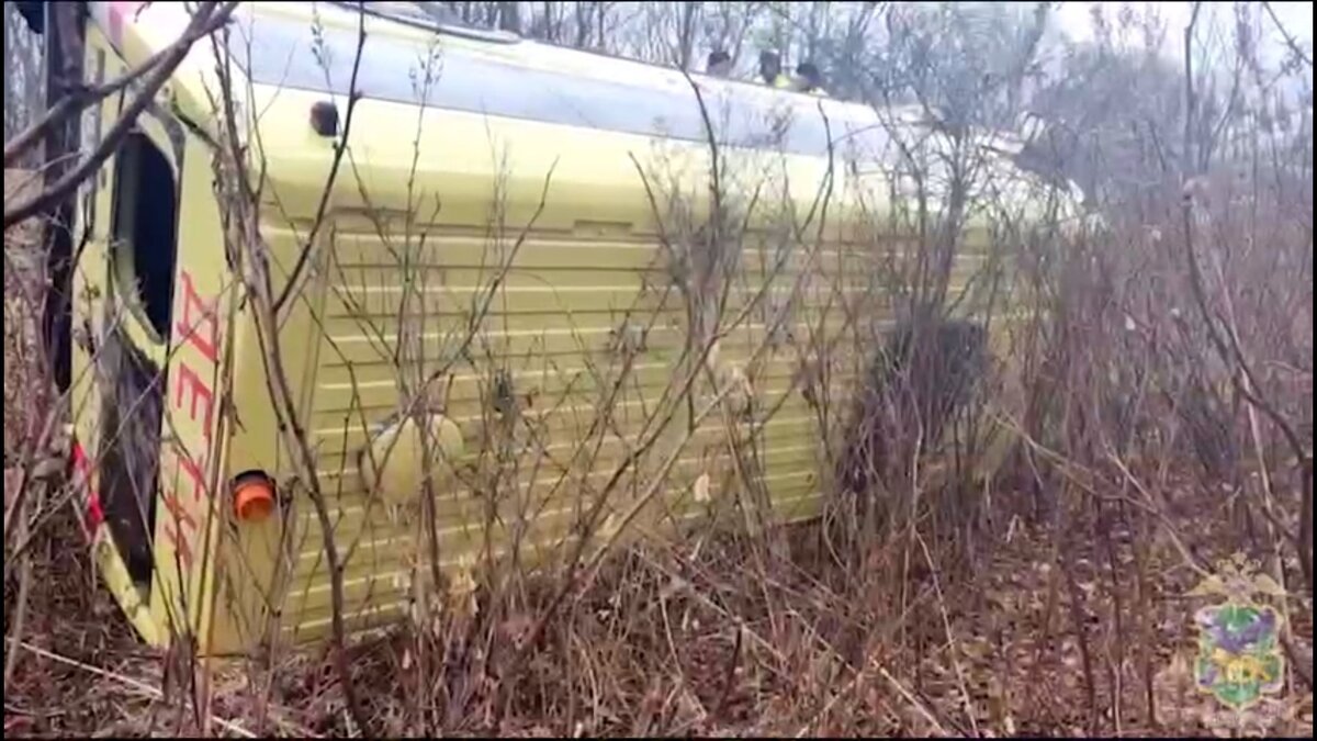     Сотрудники Госавтоинспекции и следственно-оперативная группа отдела МВД России по Надеждинскому району установили, что автобус двигался по автодороге «Хабаровск-Владивосток-Тавричанка» и при прохождении спуска с гололедным покрытием водитель потерял управление.