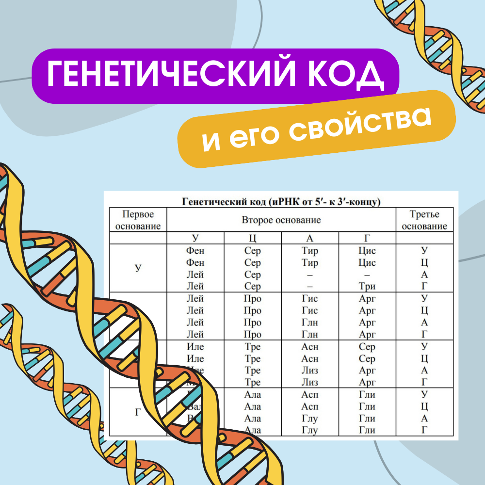 Генетический код и его свойства | Биология с Марией Семочкиной | Дзен