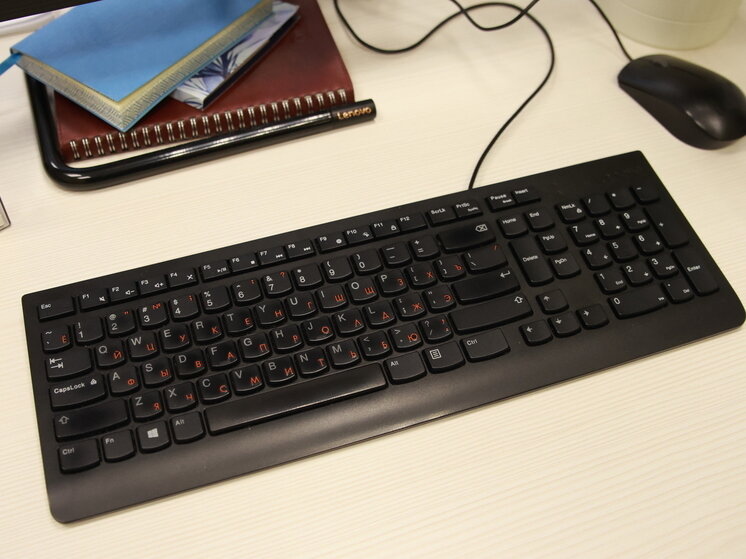     Фото: Baltphoto/Вероника Овсянникова