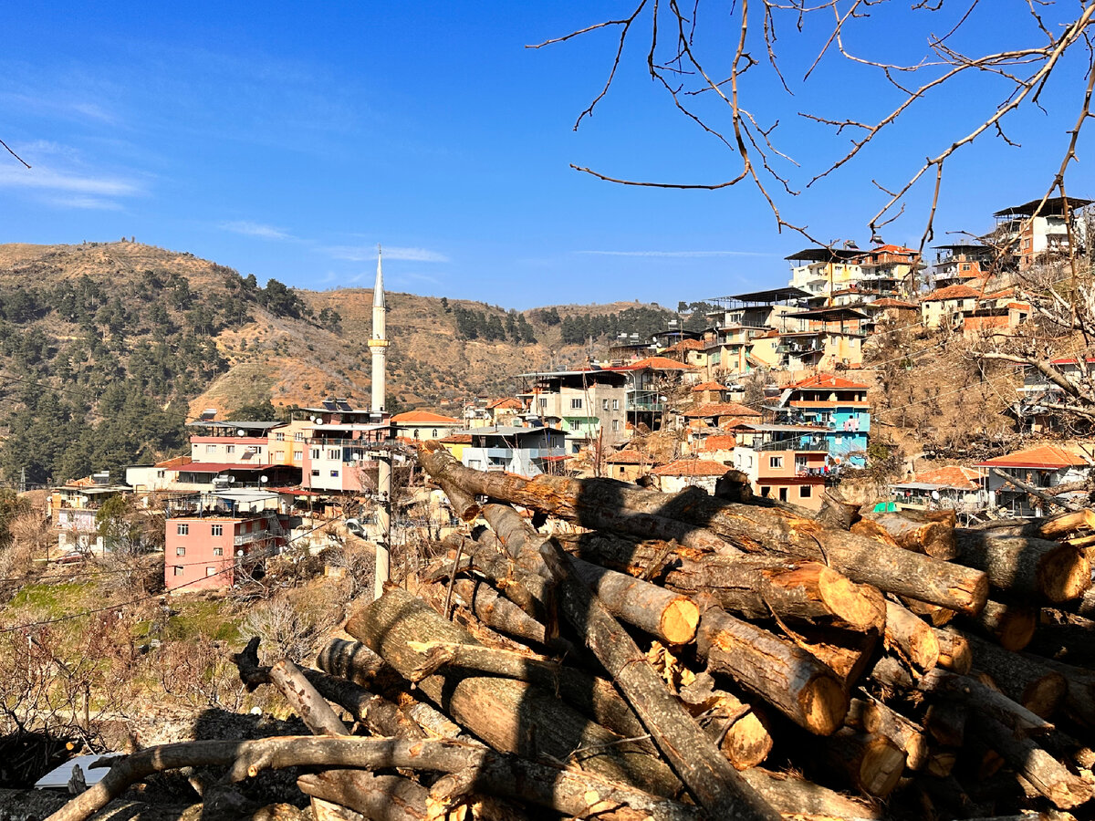 Вот наша деревня, вот мужа дом родной... Март 2023, личный архив 