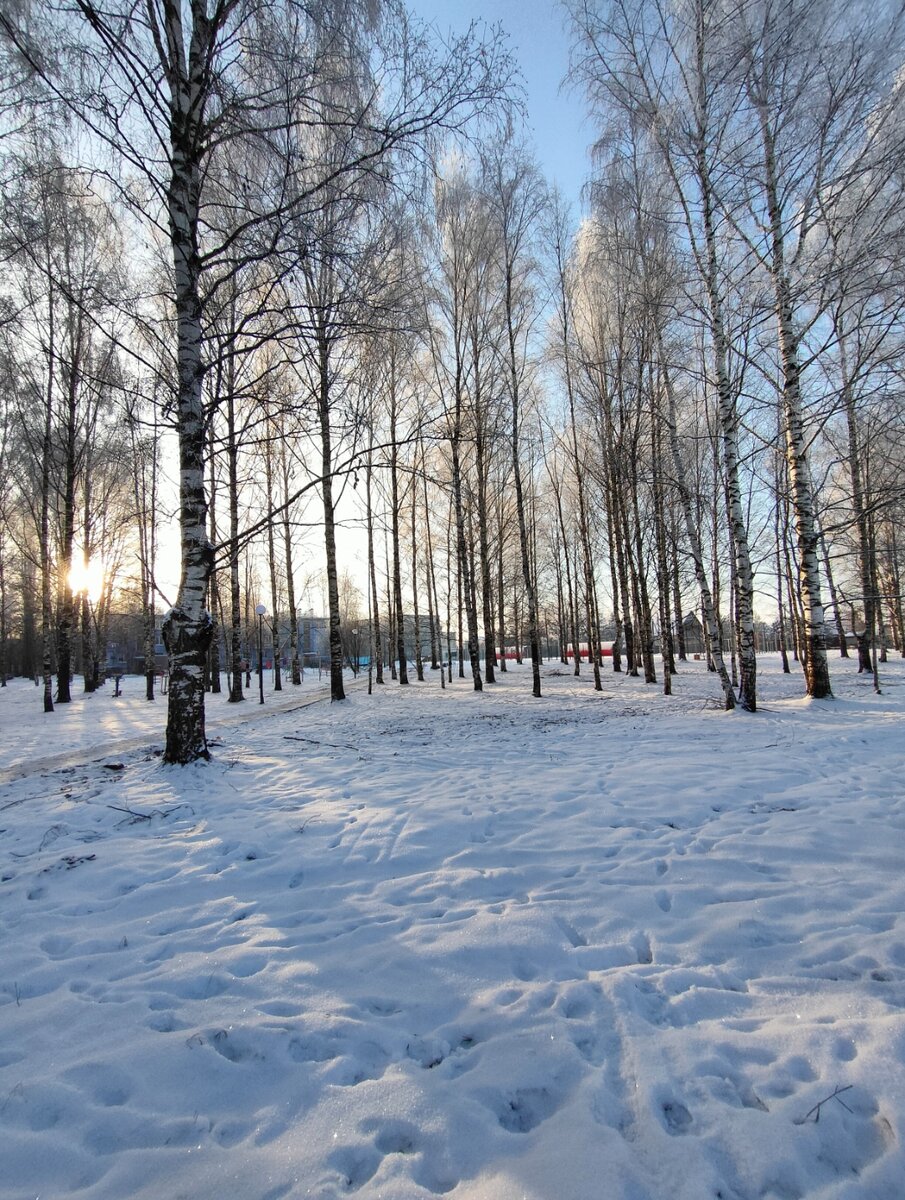 Нужны ли зимой санки-коляска  честный отзыв мамы троих детей | ЯжМамАня |  Дзен