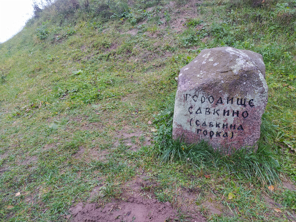 Камень по дороге на Савкино городище /фото автора (листайте далее)