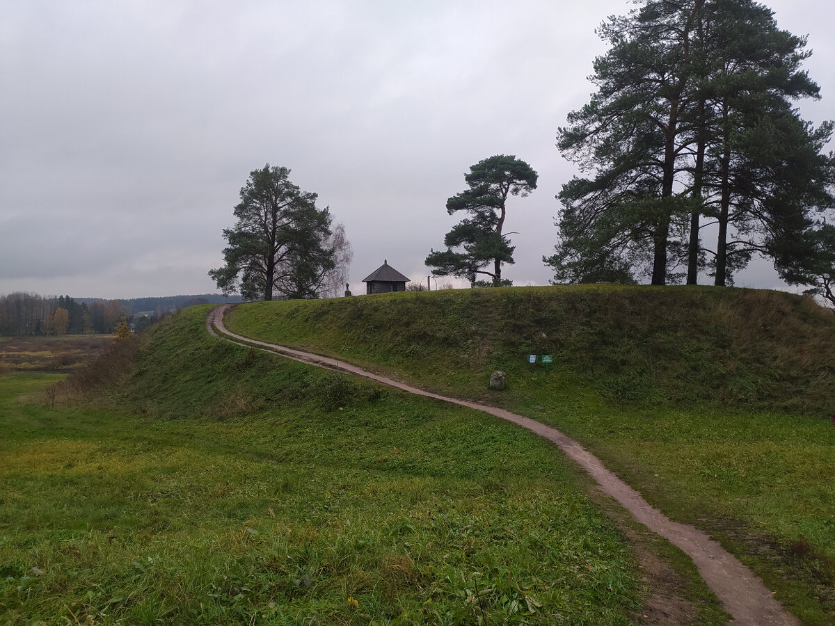 Дорога на Савкино городище /фото автора (листайте далее)