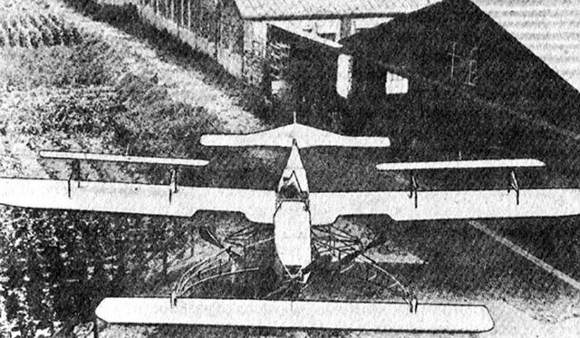 Первый самолет типа VTOL «Луцкой-1» (ил. из Википедии) 