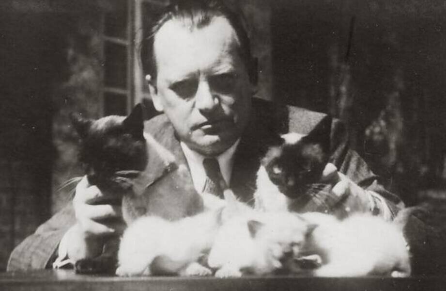 Фото взято из открытых источников