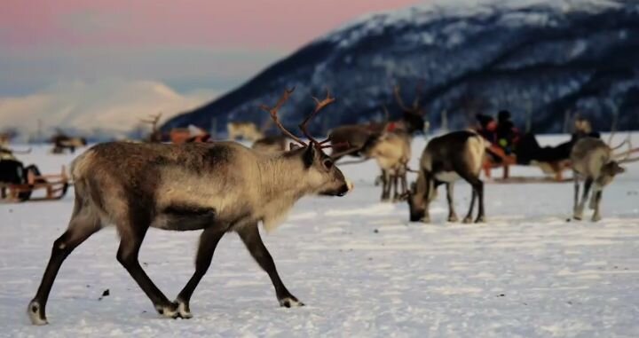 Ямал.Официально📷

