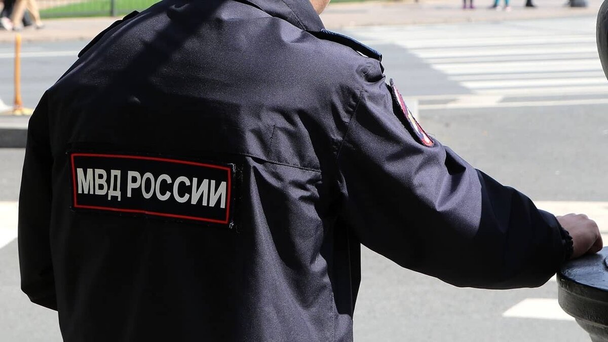 Фото: https://tvzvezda.ru/ (https://mcdn.tvzvezda.ru/storage/news_other_images/2023/08/04/e7011e99326b4c1f9049983d3f64743d.jpg)