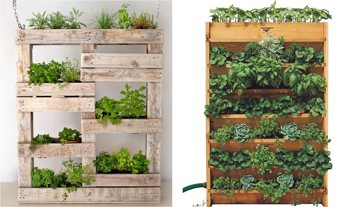 Всего один поддон и все мои цветы я уместил на одну стенку в квартире