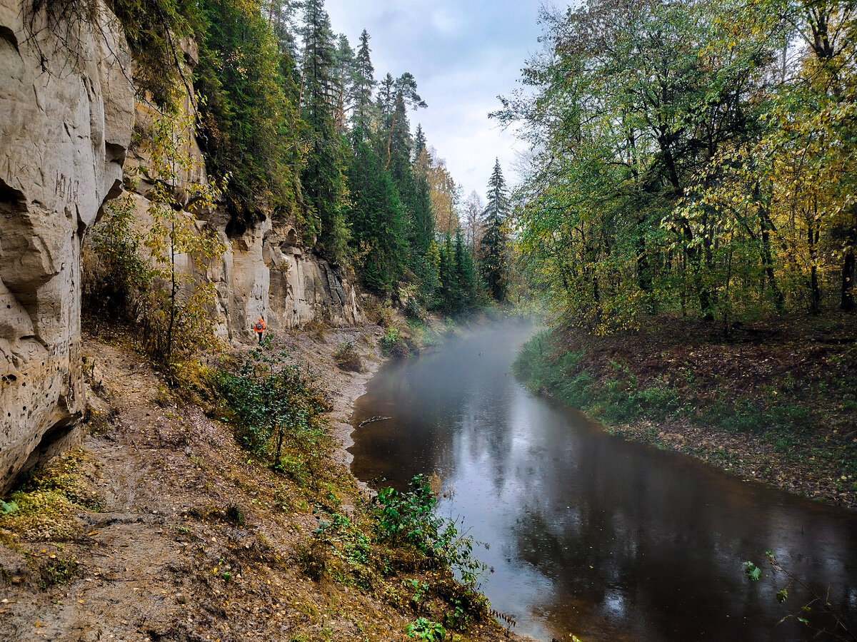 Река ящера ленинградская область фото