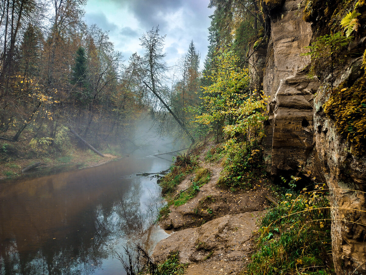 Река ящера ленинградская область фото