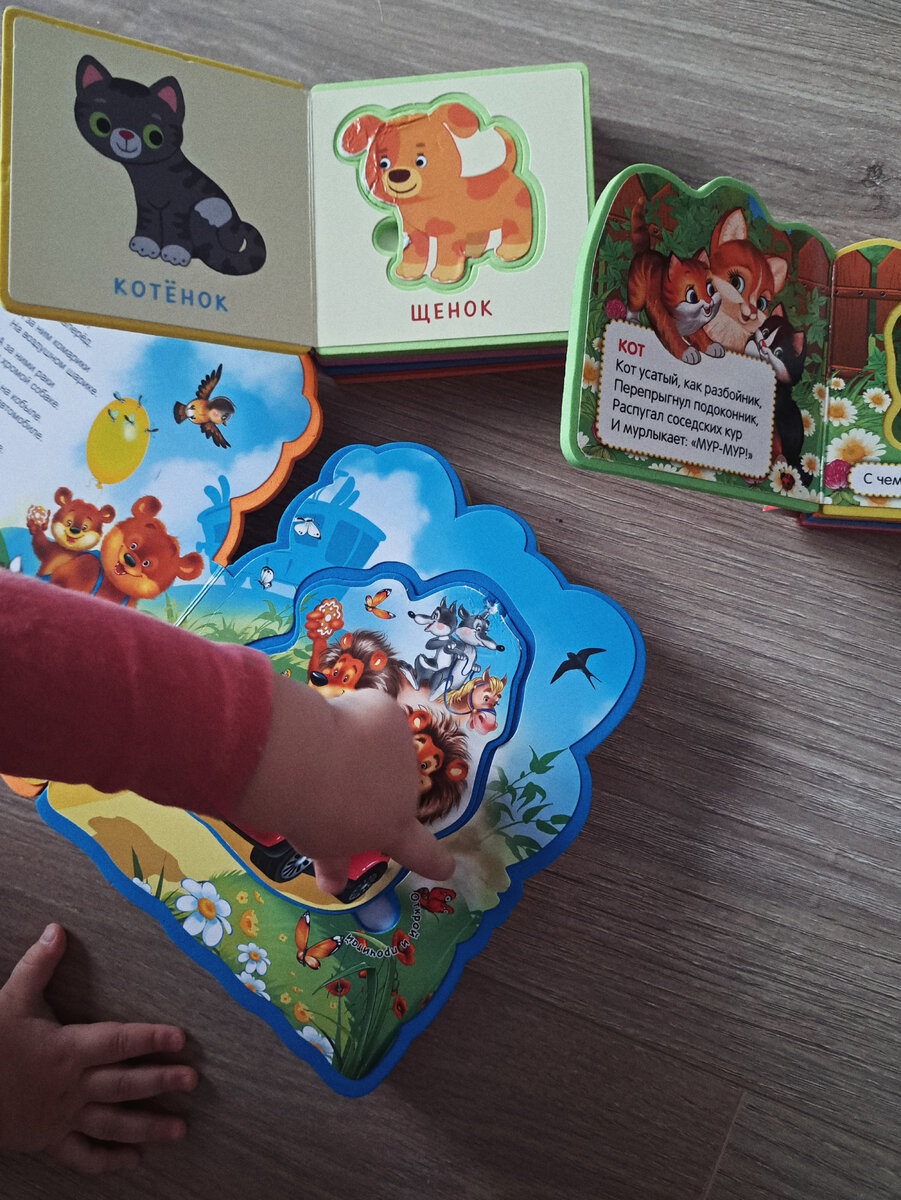 "Выжившая" часть наших мелких книг