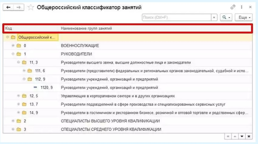 Менеджер продаж код по окз 2023. Общероссийский классификатор занятий. Код по Общероссийскому классификатору занятий. ОКЗ В 1с. Где в 1 с заполнить код ОКЗ.