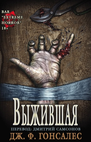 Обложка книги.