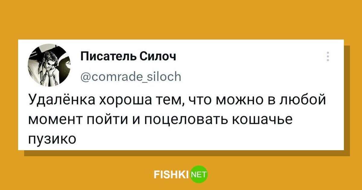 Источник: userapi.com