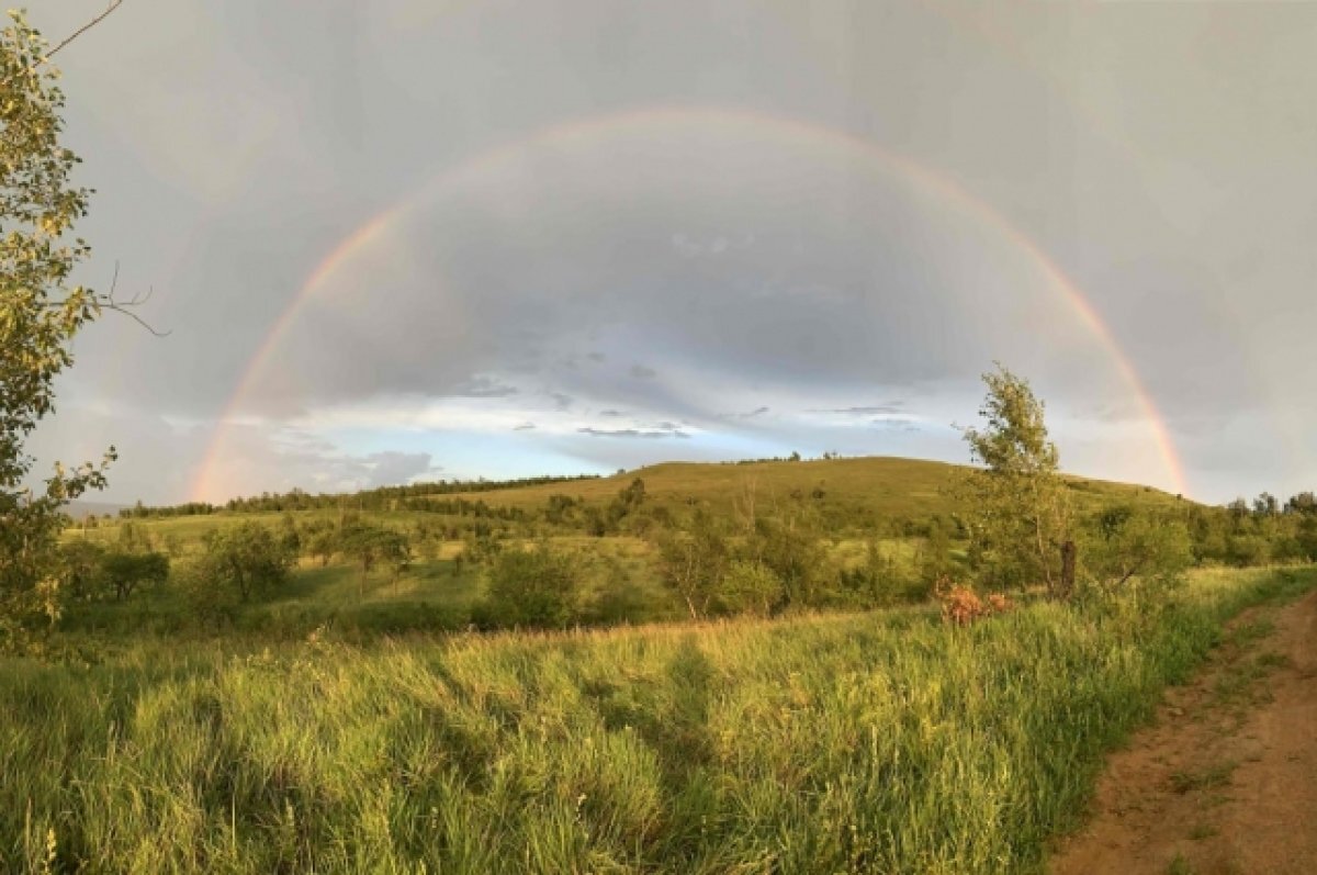    Участок Титовской сопки передали Мусульманской религиозной организации