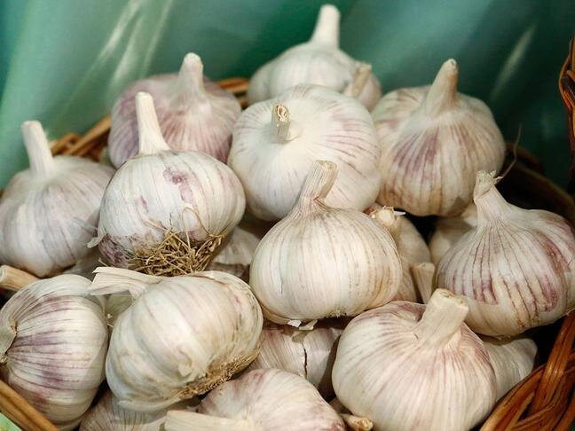 Фото: Вадим Заблоцкий