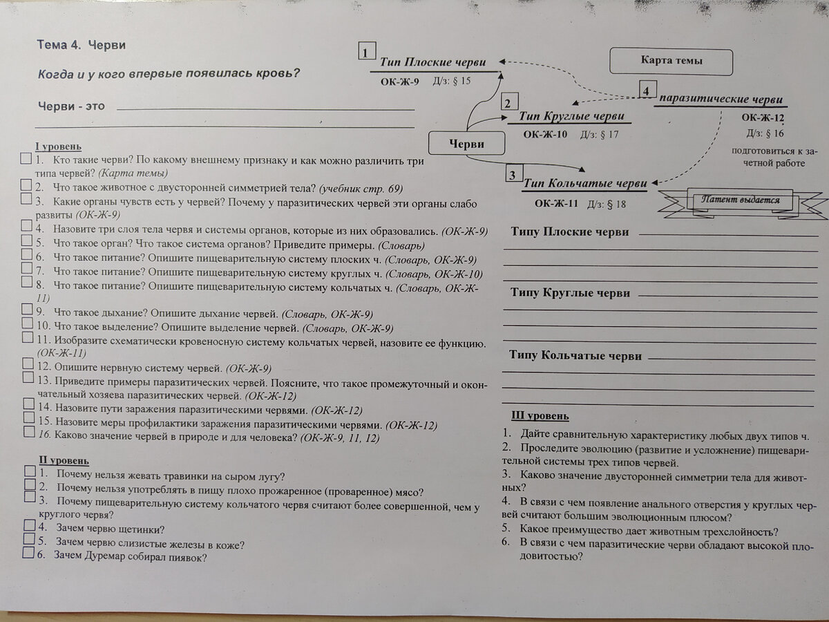 Плотная шишка у анального отверстия — вопрос №1597702