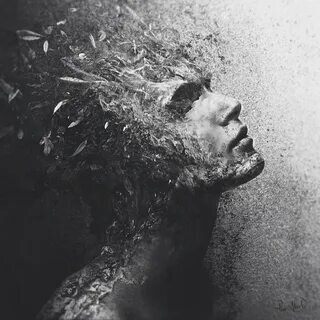 Источник Яндекс.Картинки 