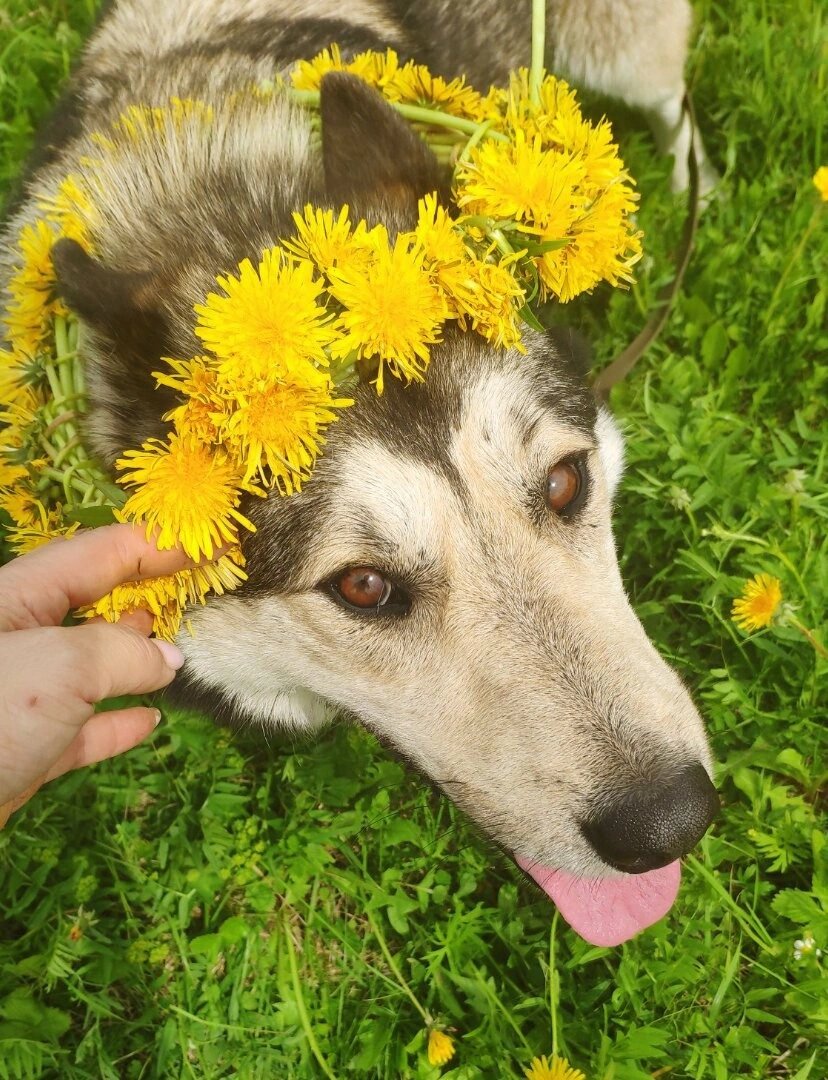Красивый, но очень скромный.