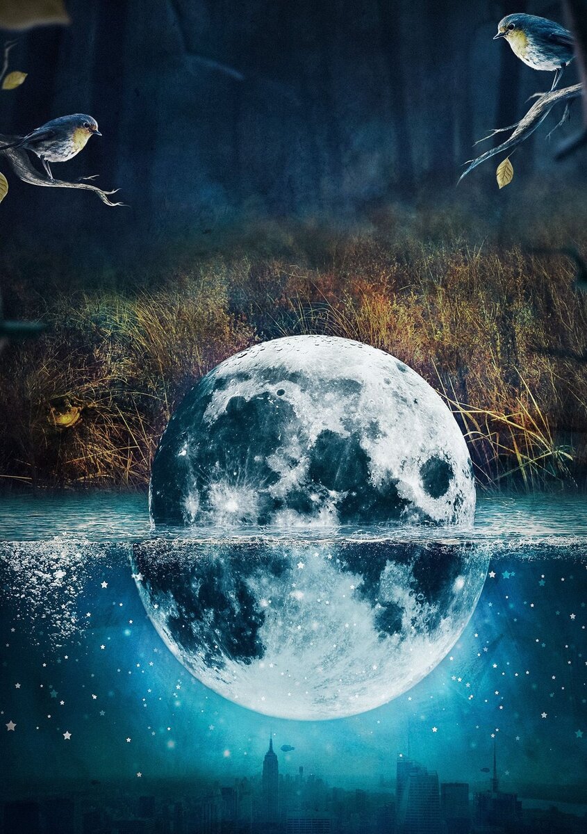 фото из интернета