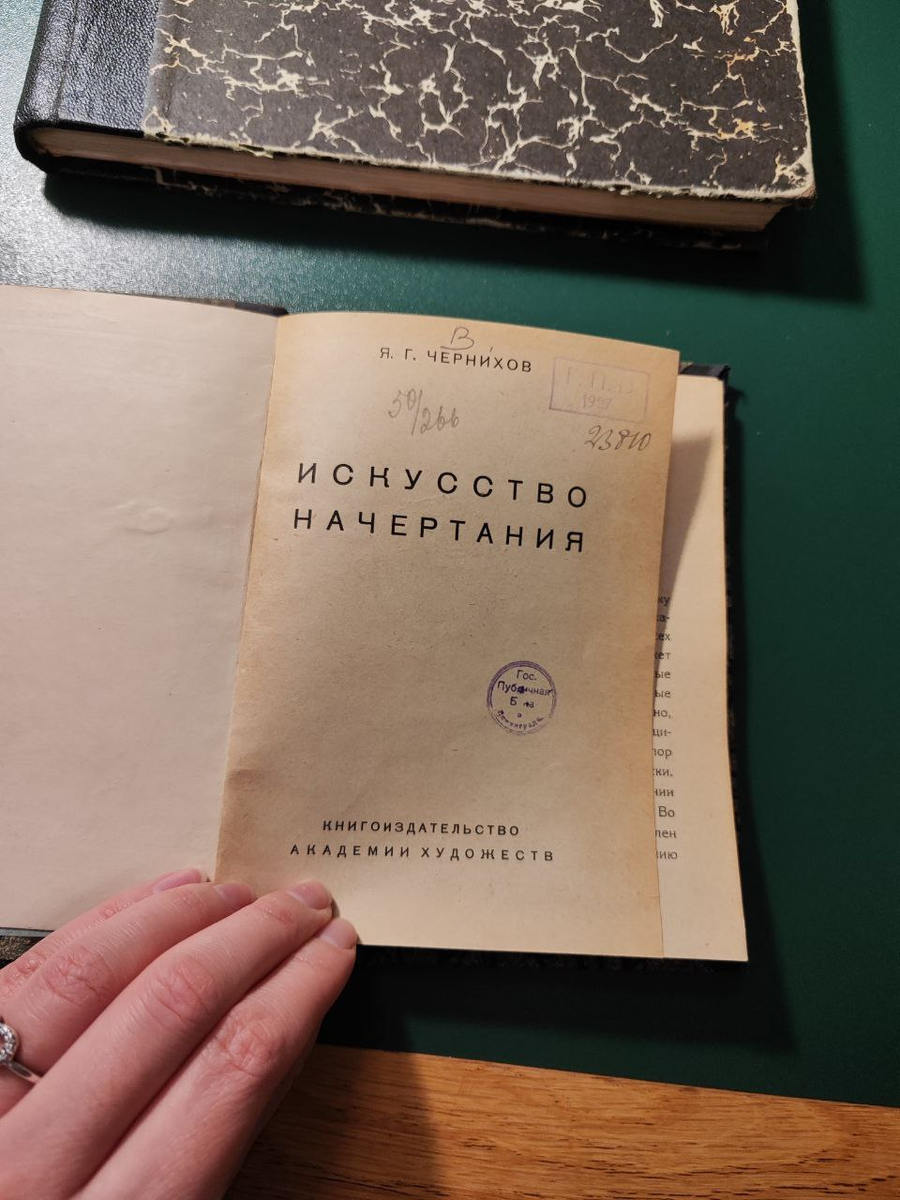 Фото: Надежда Дроздова 