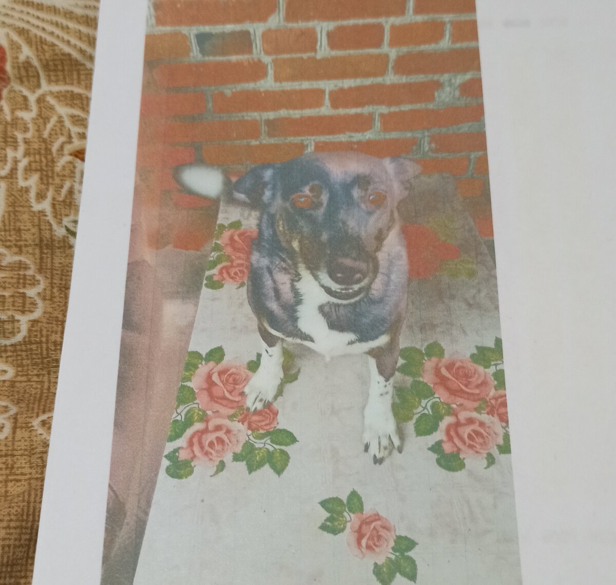 Фото автора