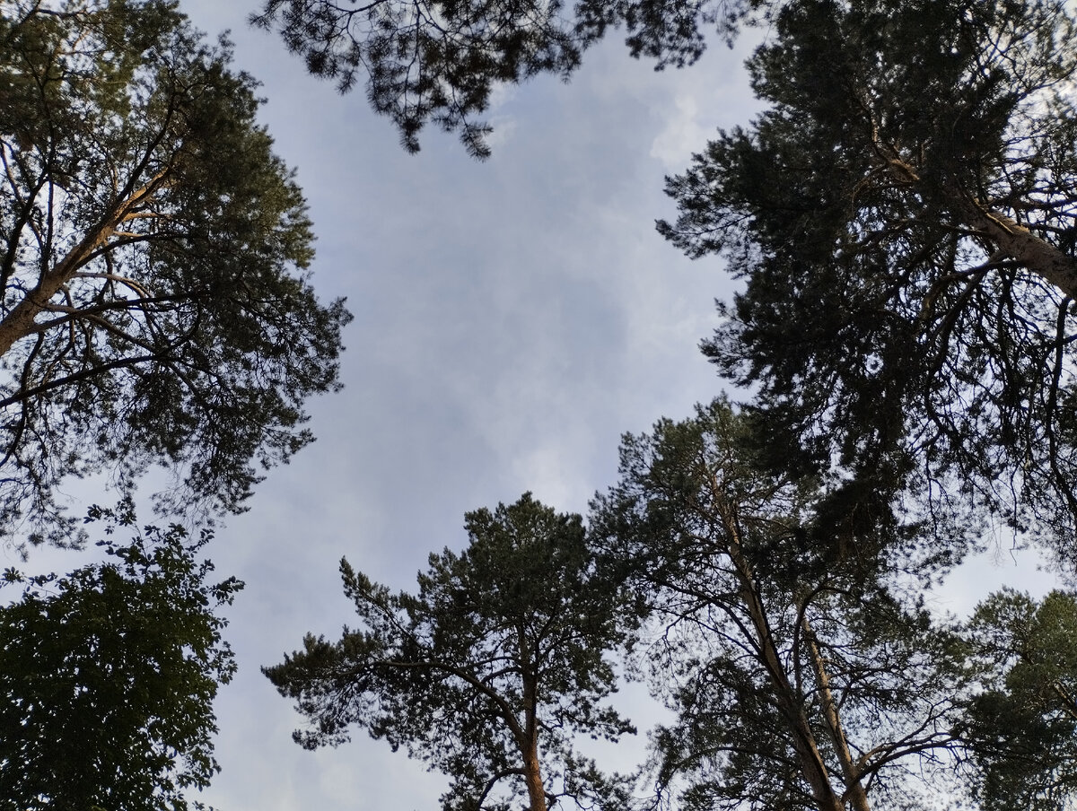 Чистого вам неба.. Фото автора.. 