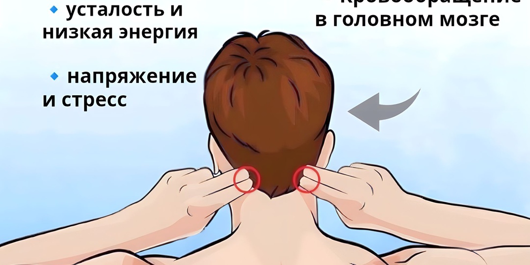 Весь стресс собирается в этих местах. Точки, которые снимают напряжение, усталость и даже помогают избавиться от мигрени.