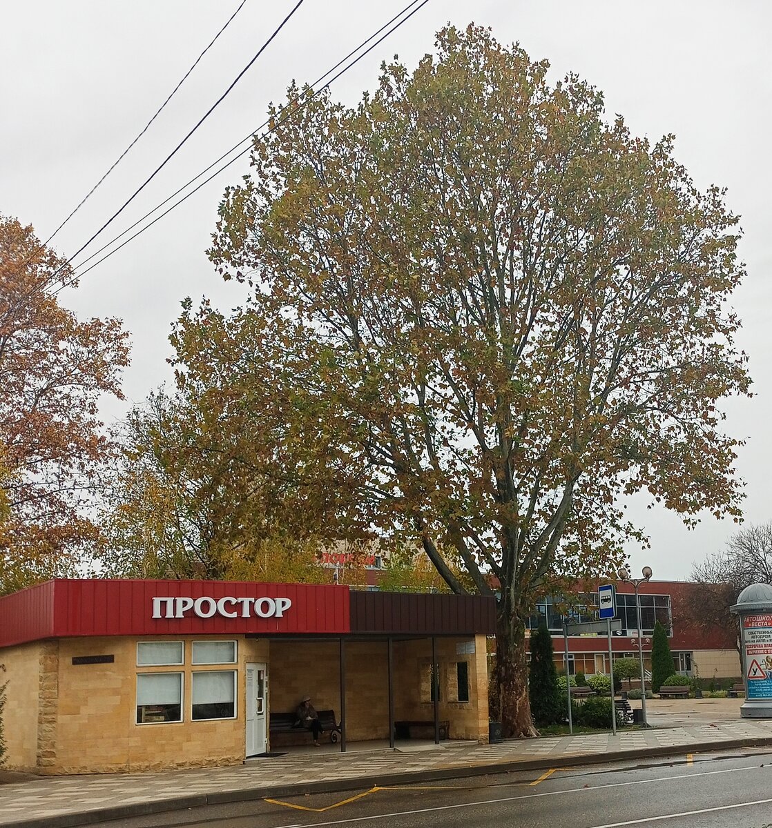Осенние улицы