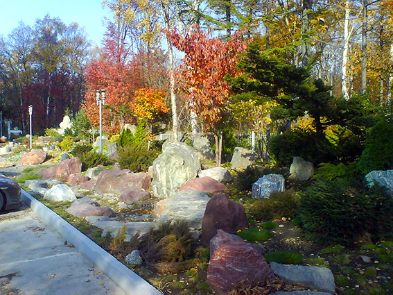 Осень в парке. Фото автора