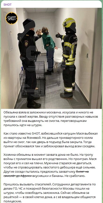ФОТО: СКРИНШОТ HTTPS://T.ME/SHOT_SHOT