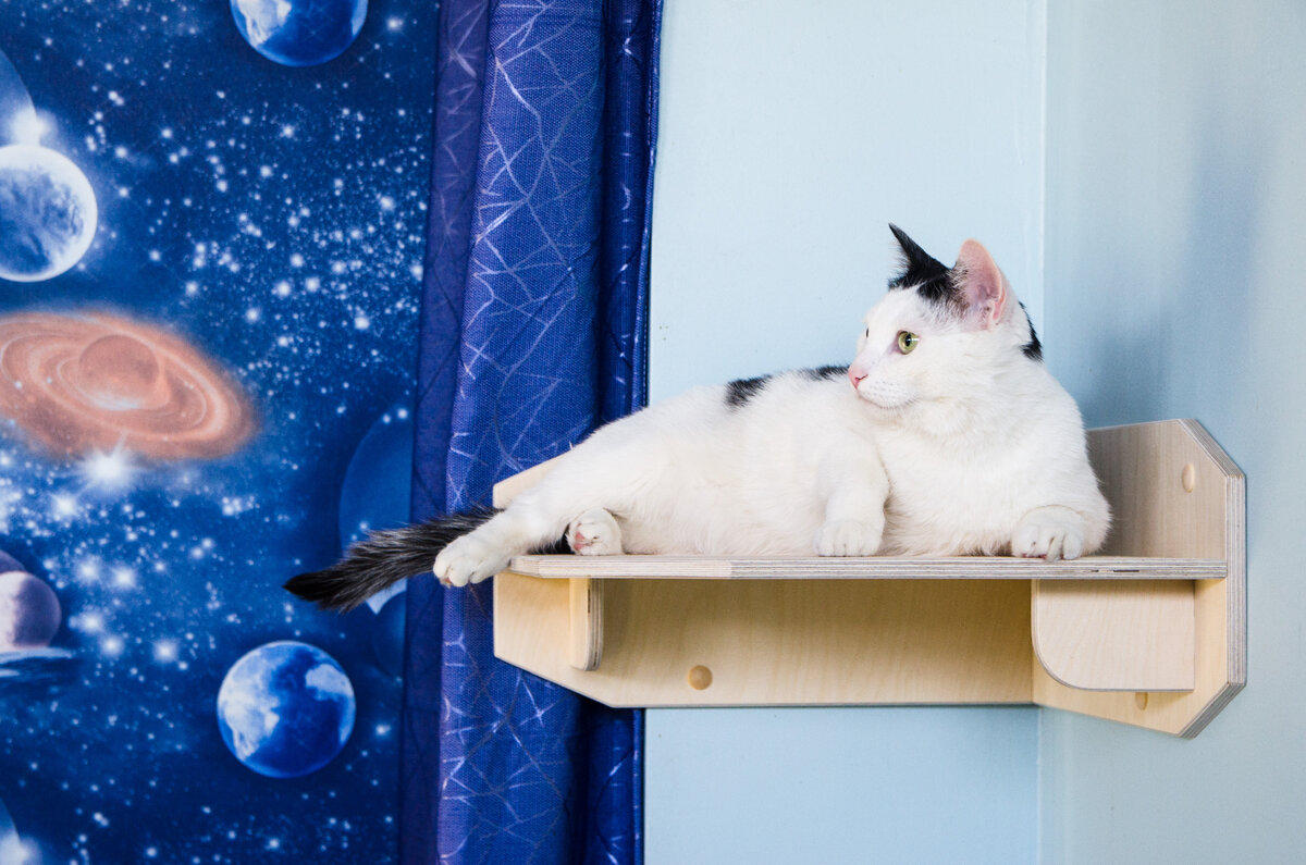 Угловая настенная полка