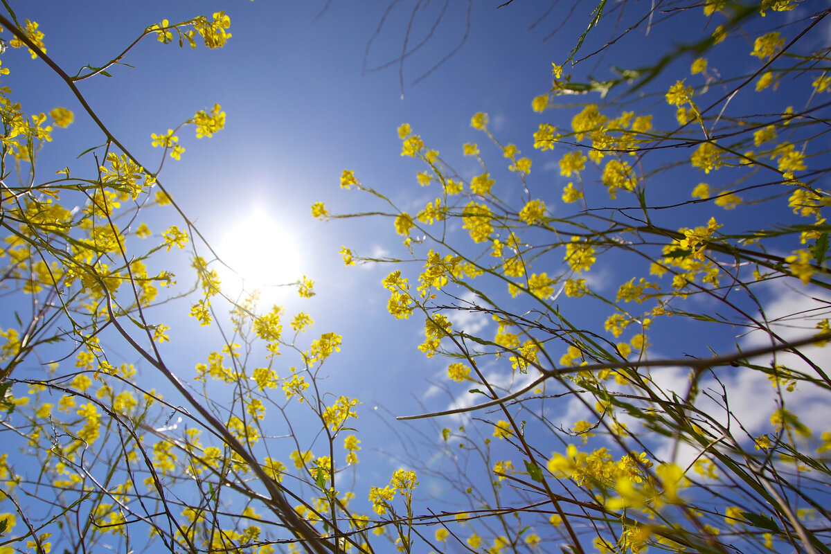 Источник: Яндекс Картинки