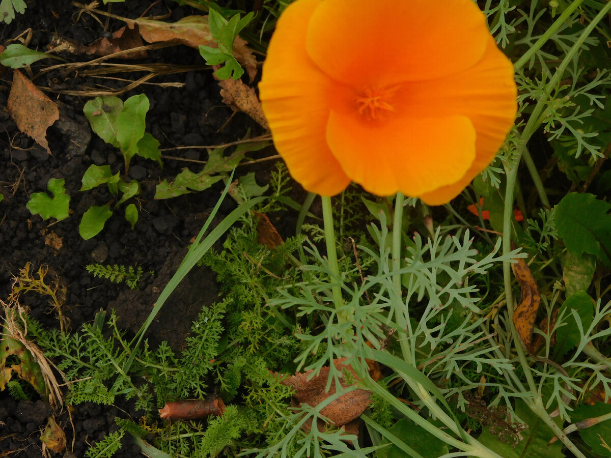 Фото автора канала