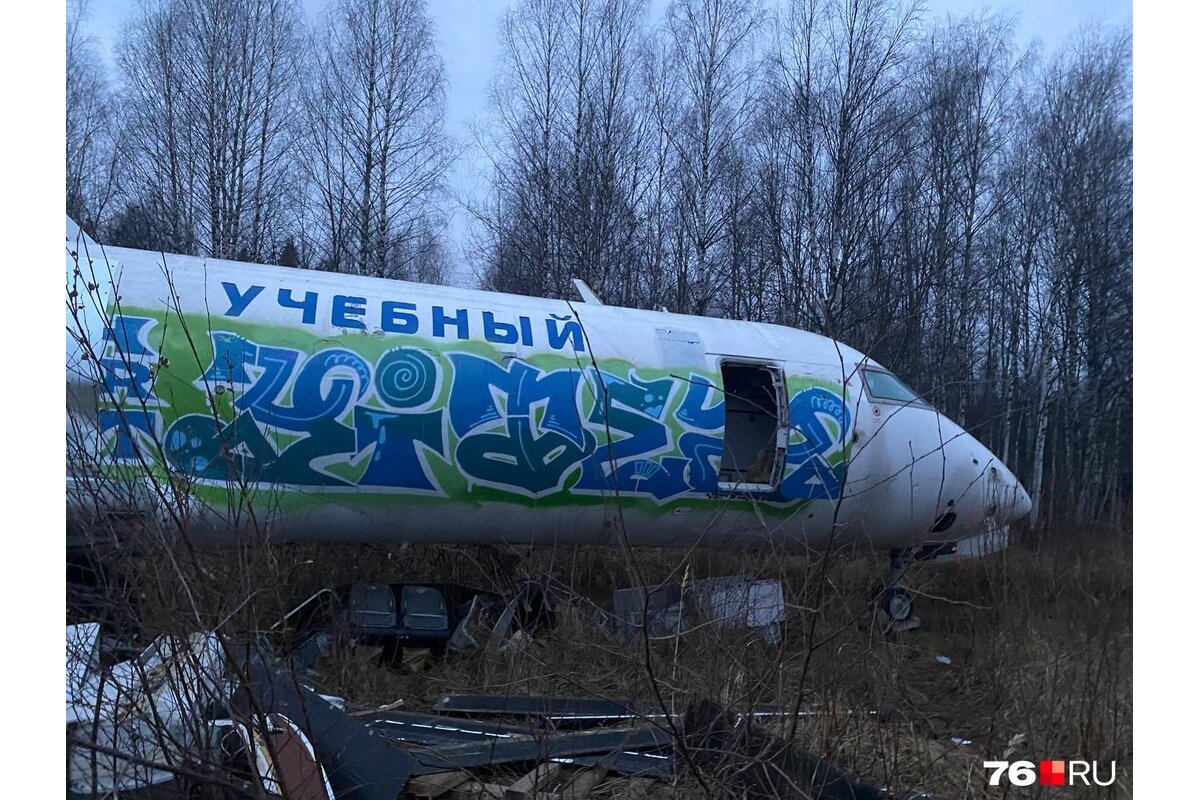 Богдановский лес самолет. Самолёт в лесу в Песочном. Самолеты на металлолом.