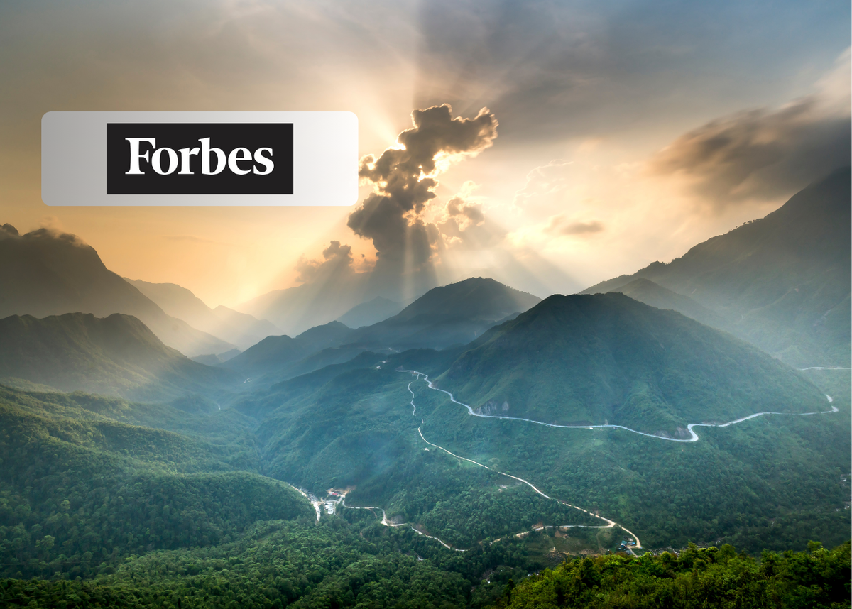 Forbes.ru