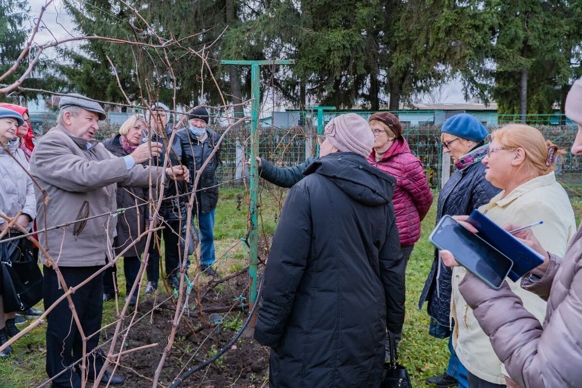    В Курском ГАУ проходят занятия для пожилых курян