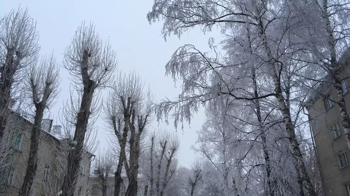     Предстоящая зима в Татарстане будет стабильной и более короткой. Об этом заявил доцент Казанского федерального университета (КФУ) Тимур Аухадеев.