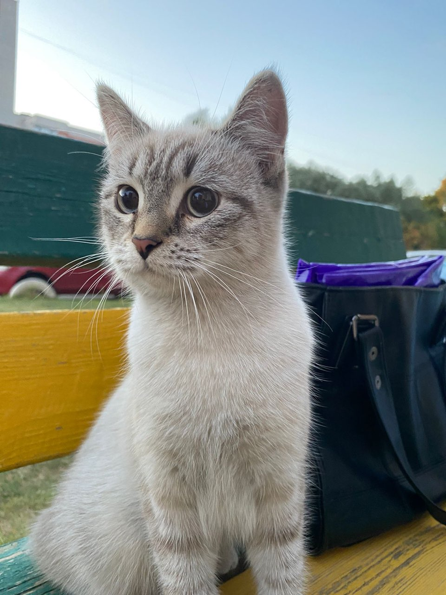 Первое фото с улицы 