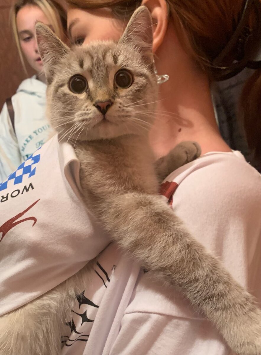 Первое фото дома