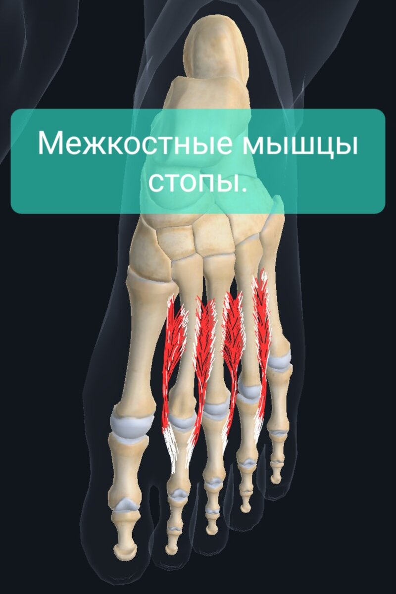 Почему болят стопы: причины, виды, способы лечения и методы профилактики