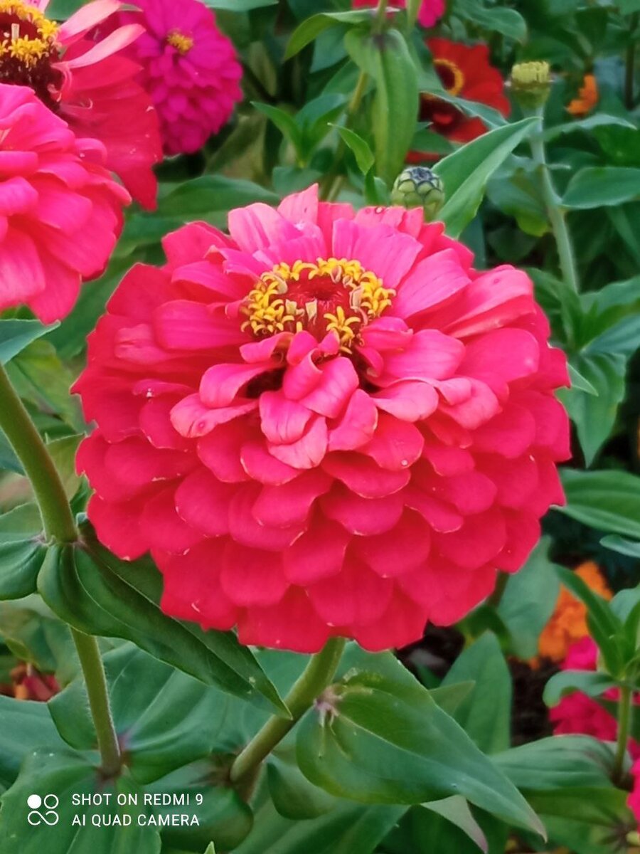 Фото автора. Листайте вправо.