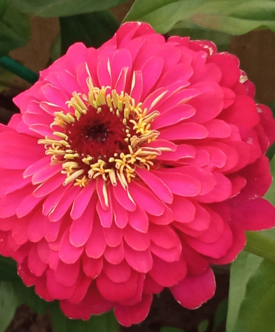 Фото автора. Листайте вправо.