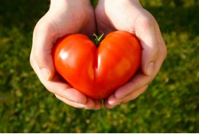 Скриншот Яндекс картинки      