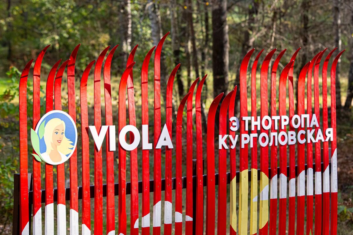 2 тонны упаковок от плавленого сыра Viola превратились в качели и лавочки, вторичный пластик – в потрясающие арт-объекты